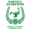 Sawtell Sparkles Logo