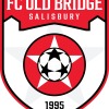 Old Bridge U11 Dragons Logo