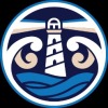 NX Timberwolves Logo