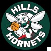 Hills Hornets  Logo
