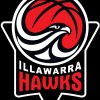 Illawarra Hawks  Logo