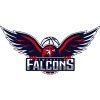 Newcastle Falcons Blue Logo