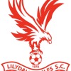 Lilydale Eagles Threeagles Logo