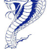 Albanvale White Logo