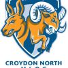 Croydon North MLOC Blue Logo