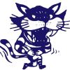 Silvan Cats Blue Logo