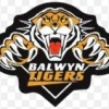 Balwyn Tigers Logo