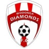 Wodonga Diamonds O45 Logo