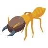 Termites Logo