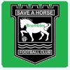 Save a horse BRUMBIES Logo