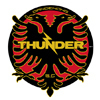 Dandenong Thunder FC Logo