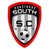 Dandenong South S.C Logo