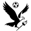 Boroondara-Carey Eagles  Logo