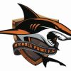 Nichols Point SC Reserve Men Logo