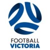 FV - Emerging Logo