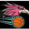 Manly Wheel Eagles