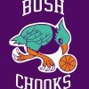 Bush Chooks Purple Logo