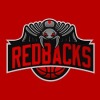 Home Club Logo